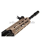 G&G CM16 Raider 2.0L Airsoft AEG 0,5 Joule Gewehr ab 14 - TAN Bild 5